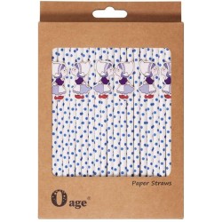Papieren Rietjes Meisje - Meisje set