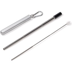 Uitschuifbare Herbruikbare Rietje | Milieuvriendelijk | Opvouwbare | Case met Sleutelhanger + Schoonmaakborstel | Metalen Rietje | Roestvrijstaal | Duurzaam Cadeau | Collapsible Reusable Straw | Silver