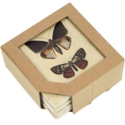 Onderzetters - Set van 4 - Vlinders - 10 x 10 x 1 cm - Polystone/Kurk