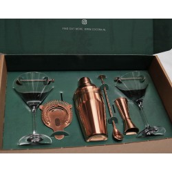 Cocora Martini Set - 9-delige RVS Cocktail Set - Cocktail Shaker - Martini Glazen (V) - Cocktail Boek - Luxe Cadeauverpakking - Rosé Goud