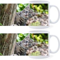 Beker - Kitten in Tuin - set van 2