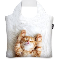 Ecozz - Emma Cerna - Kitten - 100% gerecycled (rPet) – Öko-Tex - Voorzien van rits - Afsluitbaar - Opvouwbare boodschappentas - Waterresistant – Shopper - Ecovriendelijk - Duurzaam