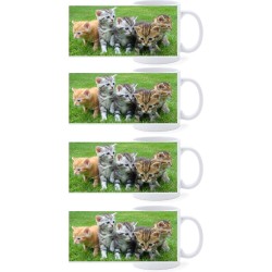 Beker - Kittens op Gras - set van 4