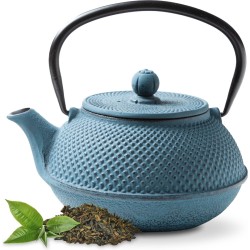 Tealøv THEEPOT GIETIJZER 800 ml | GIETIJZEREN THEEPOT Arare in Japanse Stijl | Met Uitneembare Roestvrijstalen Theezeef | Binnenzijde Volledig Geëmailleerd | Arare Blauw