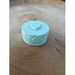 TasteDrops - aroma pod case houder - te gebruiken voor het opbergen van Air up pods - pastel groen met logo - geschikt voor Air up drinkfles pods - magnetisch stapelbaar -