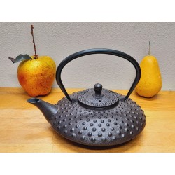 Zeer mooie gietijzeren theepot 0.8 L met dots van het merk LEIJZER Design. deze gietijzeren theepot is van binnen geemaileerd en heeft een roestvrijstalen thee filter