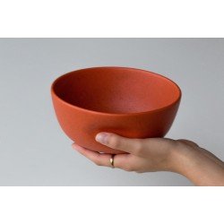 Grote kom: LimitedAmsterdam Bowl Big - Set of 2