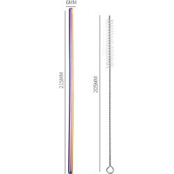 2x Herbruikbaar Metalen Rietje - Milieuvriendelijk Drinkrietje met schoonmaak borstel - Regenboog kleur