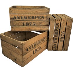 Fruitkist Antwerpen 1975 - (set van 3 kisten) DecoLis