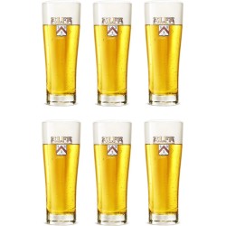 Alfa Bierglas Stoer 200 ml - 6 Stuks