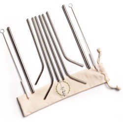 Metalen Rietjes 11-Delige set Herbruikbare drinkrietjes RVS incl Smoothie formaat - By Olive