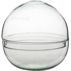 Planten terrarium fles - Dome - ↑ 20 cm - Ø 20 cm - Helder - Glas - Vaas - Voorraadpotten - Snoeppot | urbanjngl